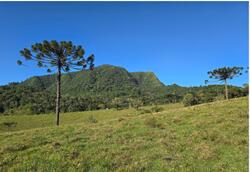 ÁREA 63.000,00m² I FAZENDA GAFANHOTO| DIVINÓPOLIS/MG - Possibilidade de Parcelamento