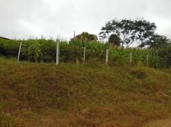 Endereço: ESTRADA de Dal Pai a Boa Esperança, Distrito DAL PAI, Campos Novos/SC