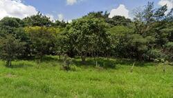 Imóvel Rural de Área 133,4239ha, Uberlandia/MG