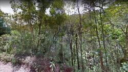 Área de terras, Nova Friburgo/RJ